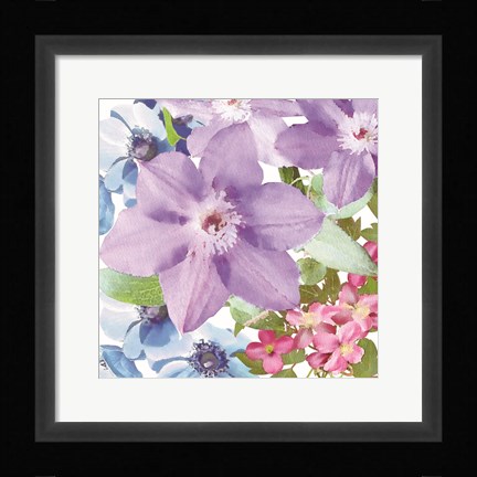 Framed Clematis I Print