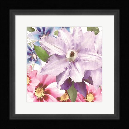 Framed Clematis II Print