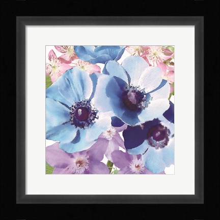 Framed Clematis III Print