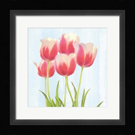 Framed Fresh Spring Tulips III Print