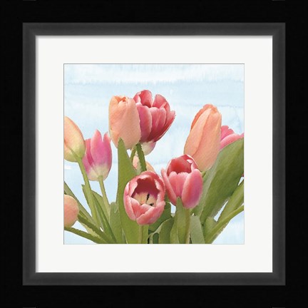 Framed Fresh Spring Tulips IV Print