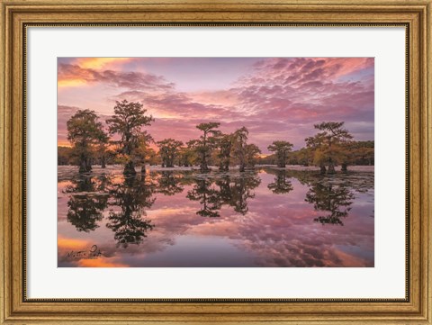 Framed Magnificent Sunset in the Swamps Print