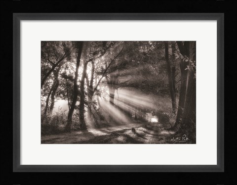 Framed Black and White Rays Print