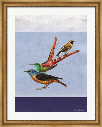 Framed Stacked Birds Print