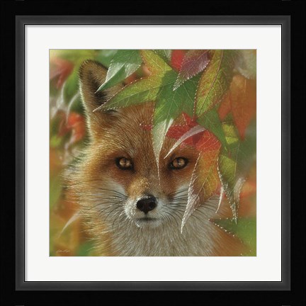 Framed Autumn Red Fox Print