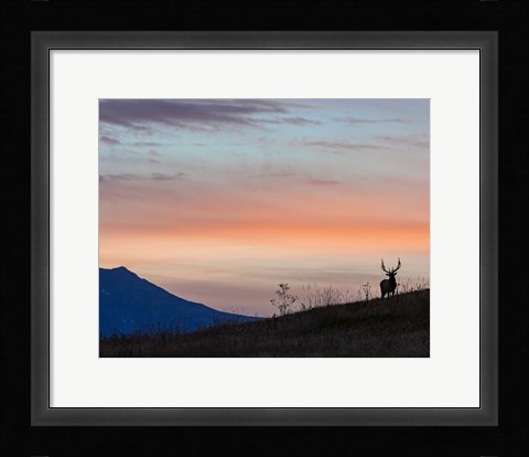 Framed Elkscape Print