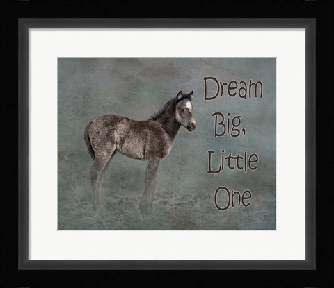 Framed Dream Big Print