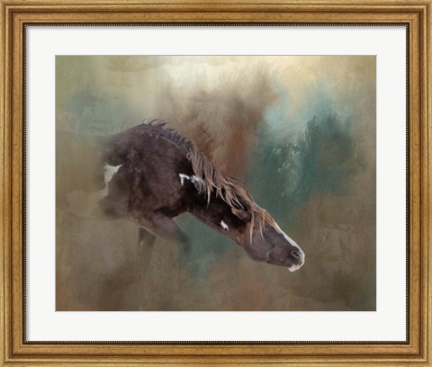 Framed Majesty - Wild Stallion Print