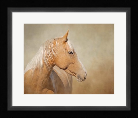 Framed Silk - Mustang Mare Print