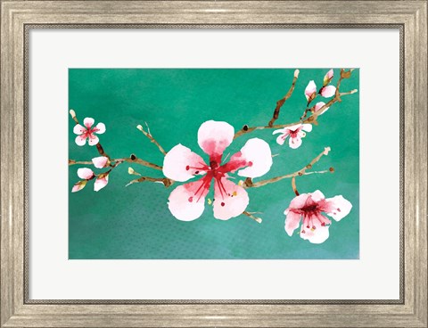 Framed Cherry Blossoms II Print