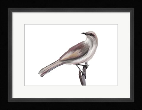 Framed Bird V Print