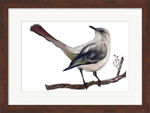Framed Bird VII Print