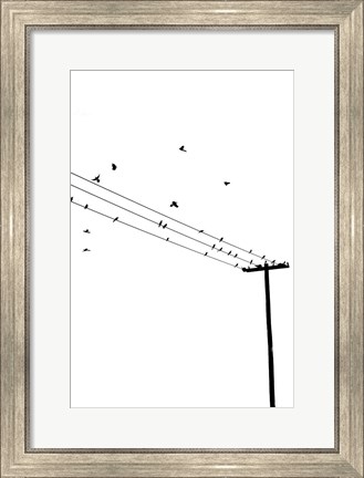 Framed Birds on a Wire Print