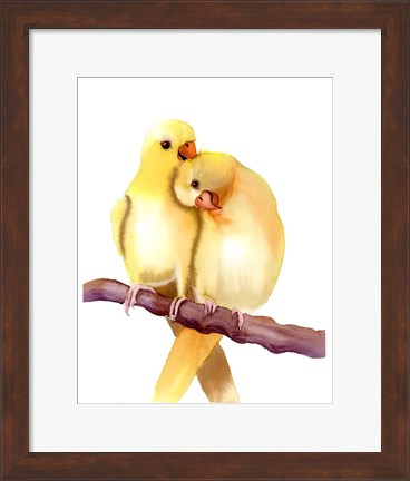 Framed Yellow Parakeets Print