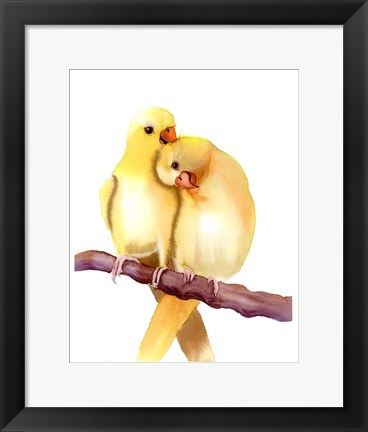 Framed Yellow Parakeets Print