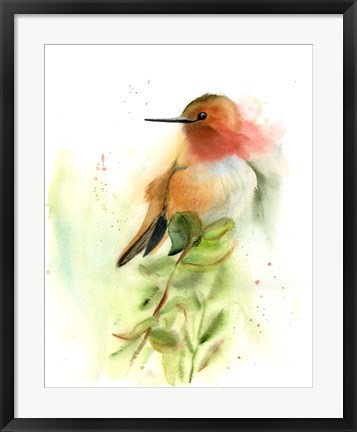 Framed Pretty Bird Print