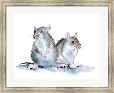 Framed Mice Print
