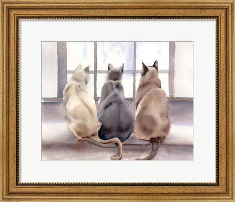 Framed Cats Print