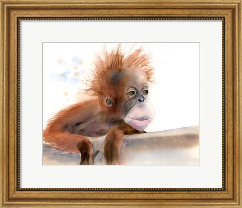 Framed Baby Monkey Print