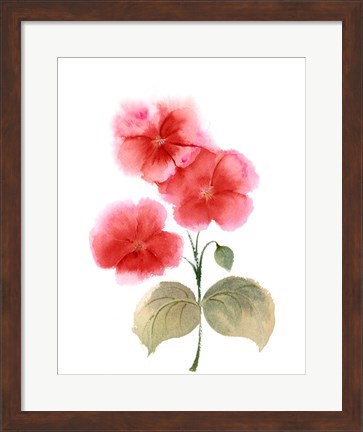Framed Red Flowers II Print