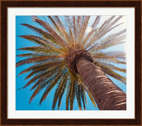Framed Sunny Palms Print