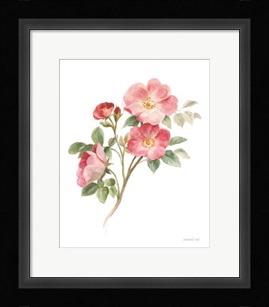 Framed Sprigs of Summer II on White Print