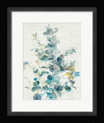 Framed Eucalyptus IV Vintage Print