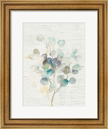 Framed Eucalyptus III Vintage Print