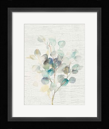 Framed Eucalyptus III Vintage Print