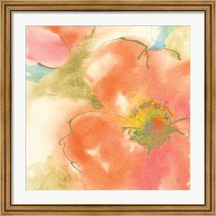 Framed Coral Poppy I Print