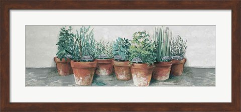 Framed Pots of Herbs II Cottage v2 Print