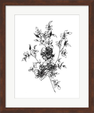 Framed Sketchbook Flowers on White II Print