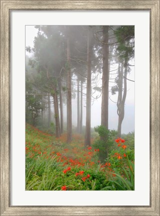 Framed Forest of The Flowers Print