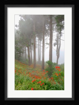 Framed Forest of The Flowers Print