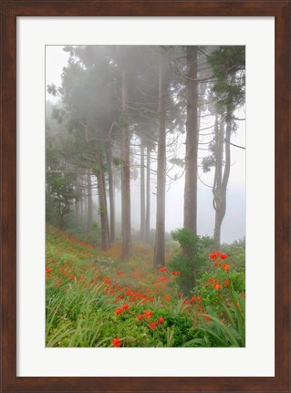 Framed Forest of The Flowers Print