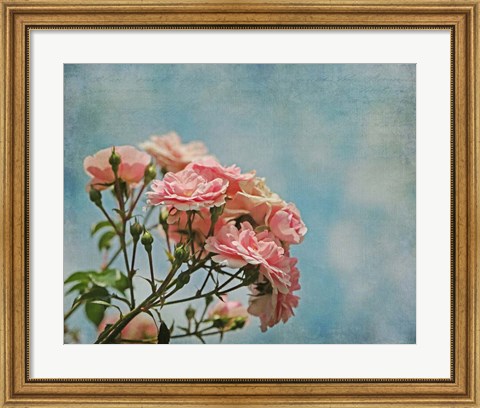 Framed Antique Roses with French Script Print