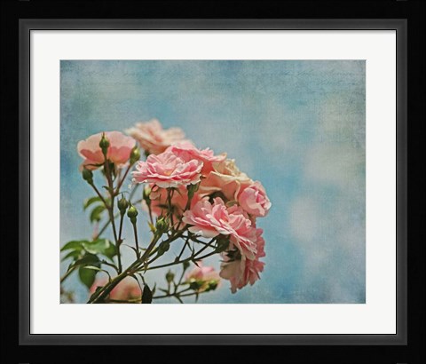 Framed Antique Roses with French Script Print