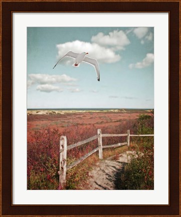 Framed Gull over Coastal Trail Print