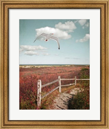Framed Gull over Coastal Trail Print
