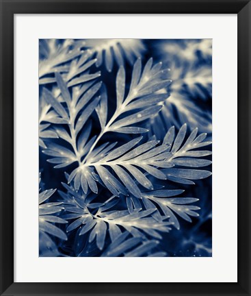Framed Navy Blue Leaves Print