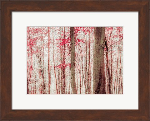 Framed Pink &amp; Brown Fantasy Forest Print