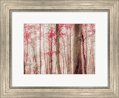 Framed Pink &amp; Brown Fantasy Forest Print