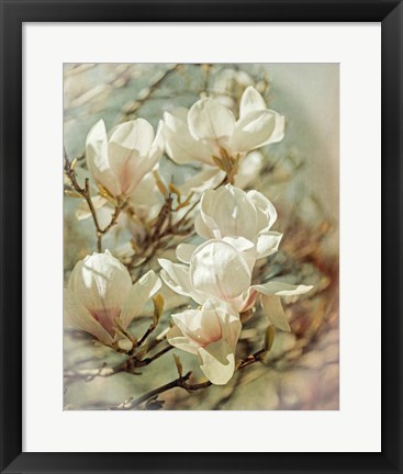 Framed Vintage Inspired Magnolias Print