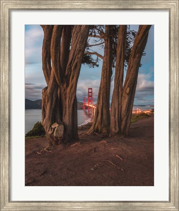 Framed Between the Trees Print