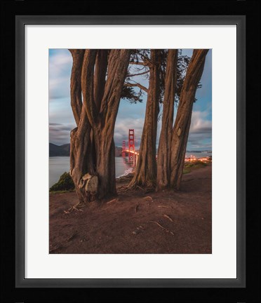 Framed Between the Trees Print