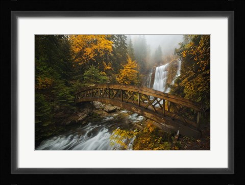 Framed Bridge in the Forest Print