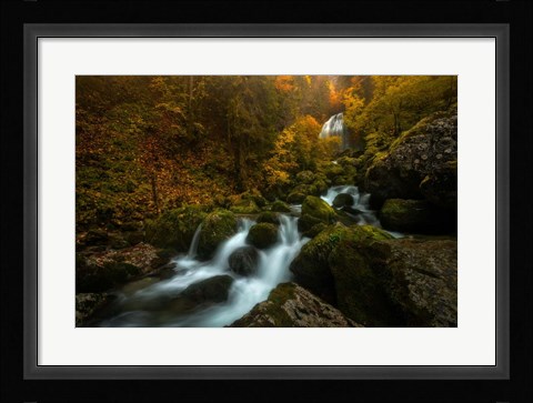 Framed Resplendent Stream Print