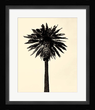 Framed Palm Tree 1979 Tan Print