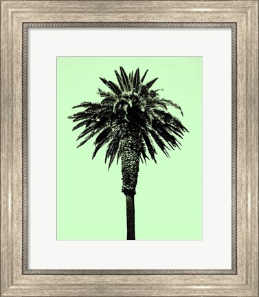 Framed Palm Tree 1996 (Green) Print