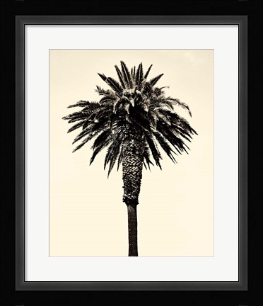 Framed Palm Tree 1996 (Tan) Print